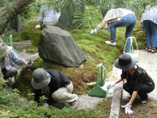 2536-12.8.29清浄華院　お庭草取り女性メイン風景.jpg